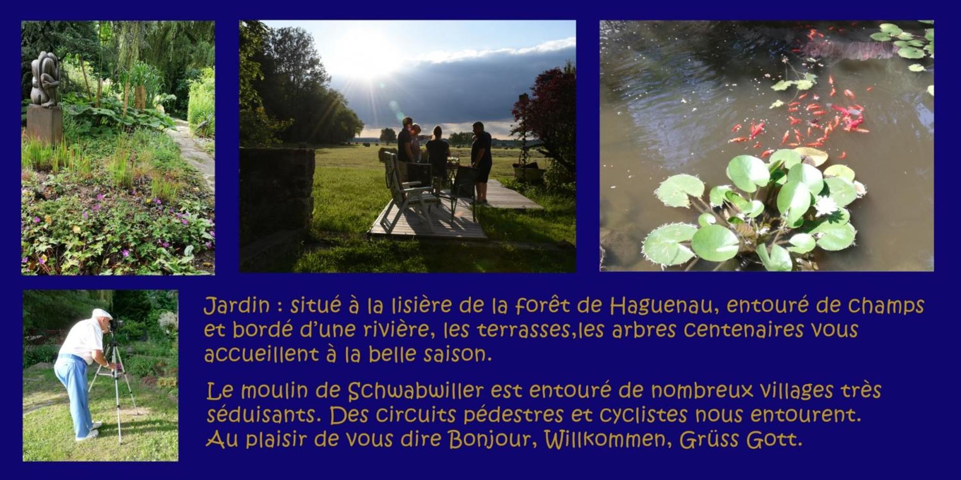 Gite L'Amarante Betschdorf المظهر الخارجي الصورة